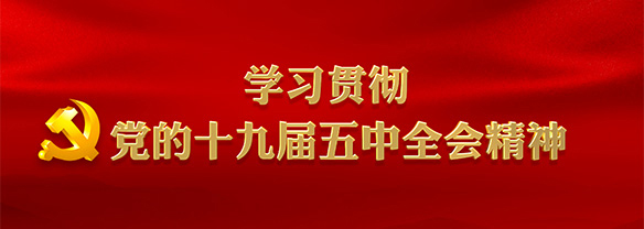 学习贯彻党的十九届五中全会精神